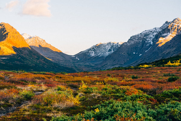 Fall Landscape Photos