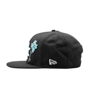 AK State Cluster Black Snapback Hat